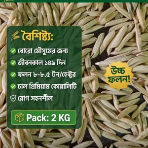 ব্রি ধান – ১০৪ (২ কেজি)