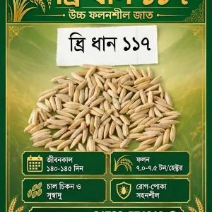 ব্রি ধান – ১১৭ (২ কেজি)