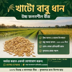 খাটো বাবু (২ কেজি)