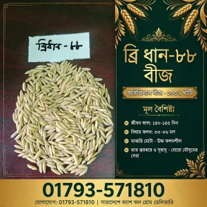 ব্রি ধান - ৮৮ (২ কেজি)