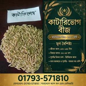 কাটারি (২ কেজি)