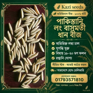 পাকিস্তানি লং বাসমতী (২ কেজি)
