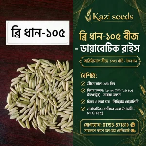 ব্রি ধান – ১০৫ (২ কেজি)