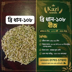 ব্রি ধান – ১০৮ (২ কেজি)