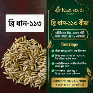 পাকিস্তানি রড মিনিকেট (২ কেজি)